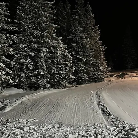 K.i.d.s. Apartament *