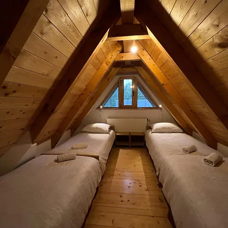 K.i.d.s. ヴラシチ