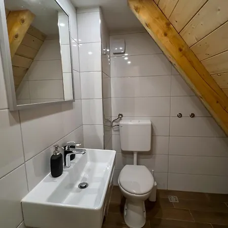 K.i.d.s. ヴラシチ