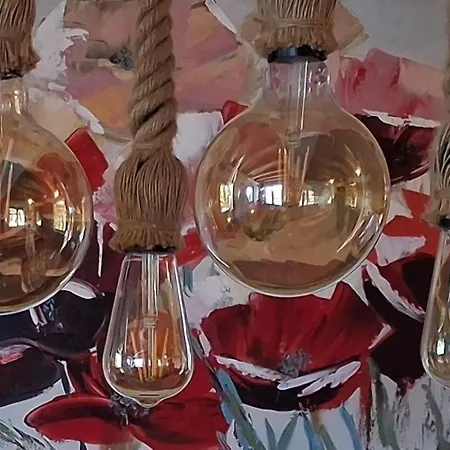 K.i.d.s. ヴラシチ