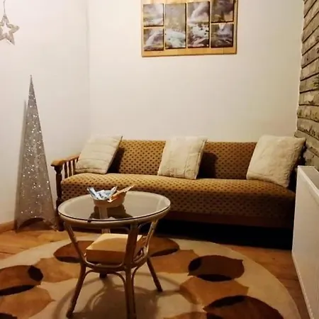 K.i.d.s. ヴラシチ